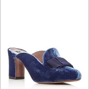 Tabitha Simmons Anya Mule in Cadet Blue Velvet